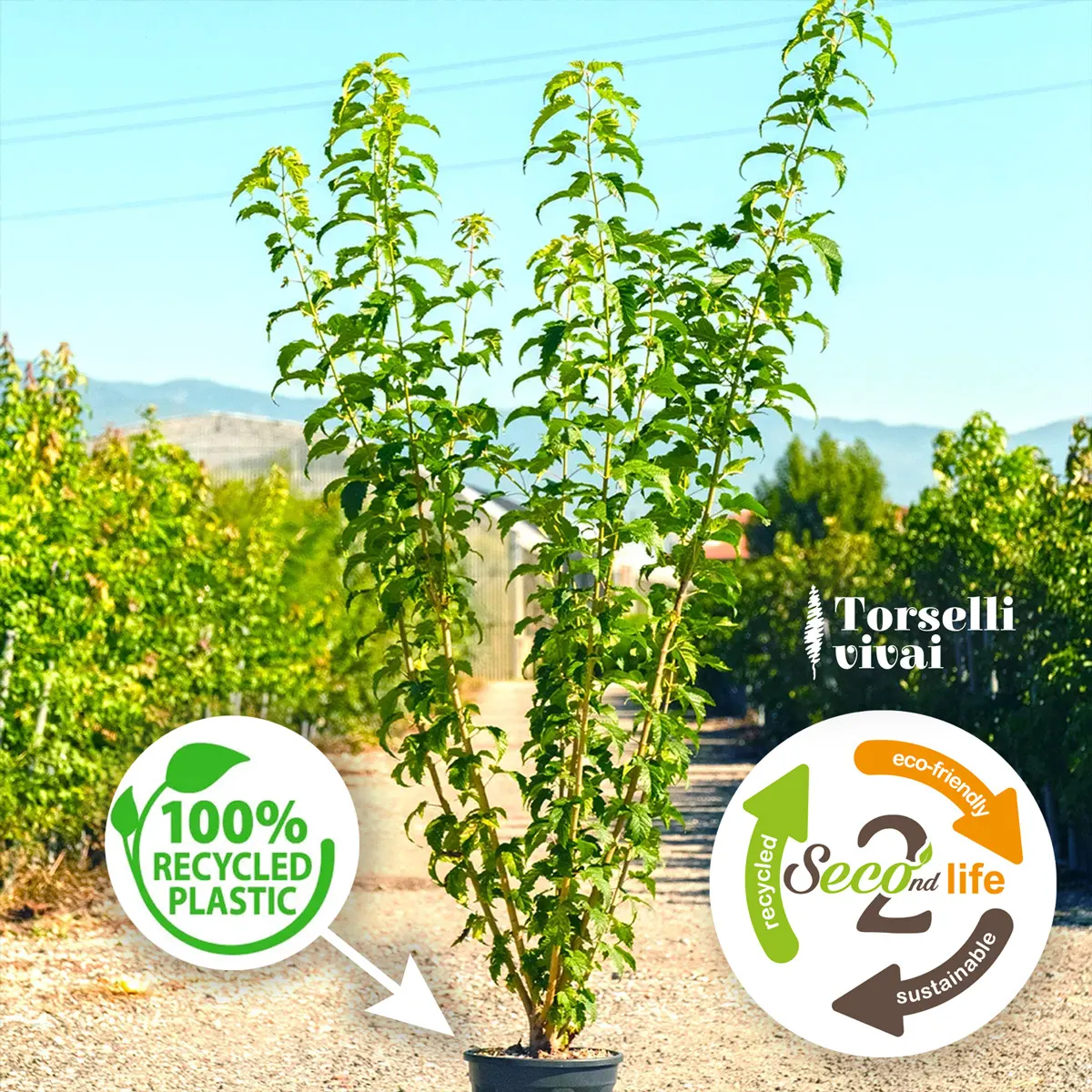 torselli vivai recycled plastic 100