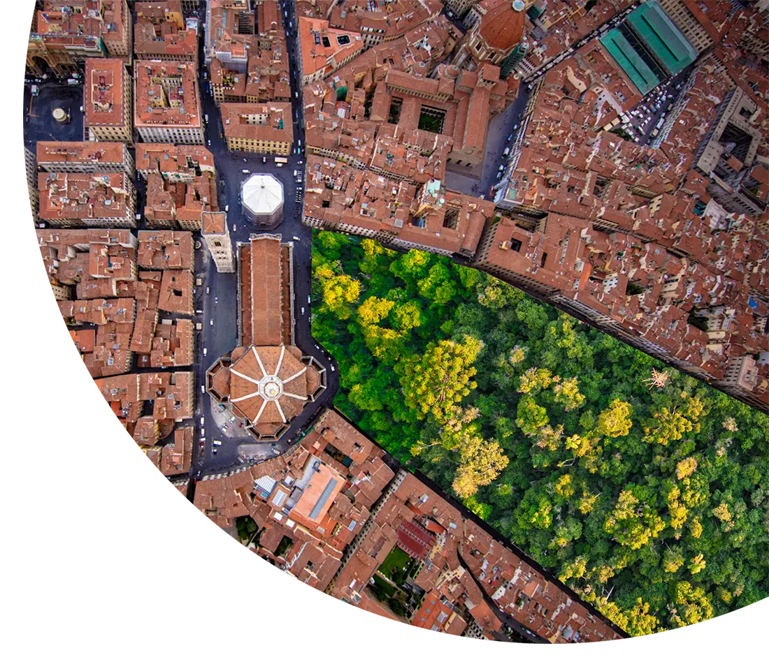 torselli vivai pistoia italia